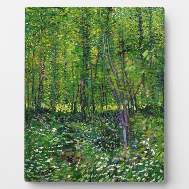 Vincent Van Gogh Trees And Undergrowth Plaque (Front)