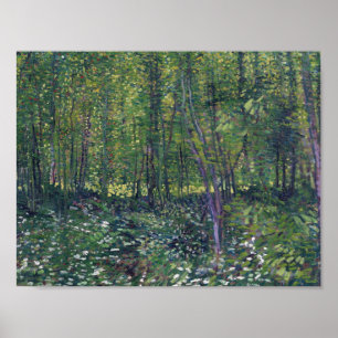 Vincent Van Gogh - Trees and Undergrowth Poster
