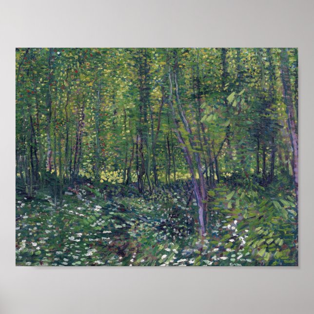 Vincent Van Gogh - Trees and Undergrowth Poster (Front)