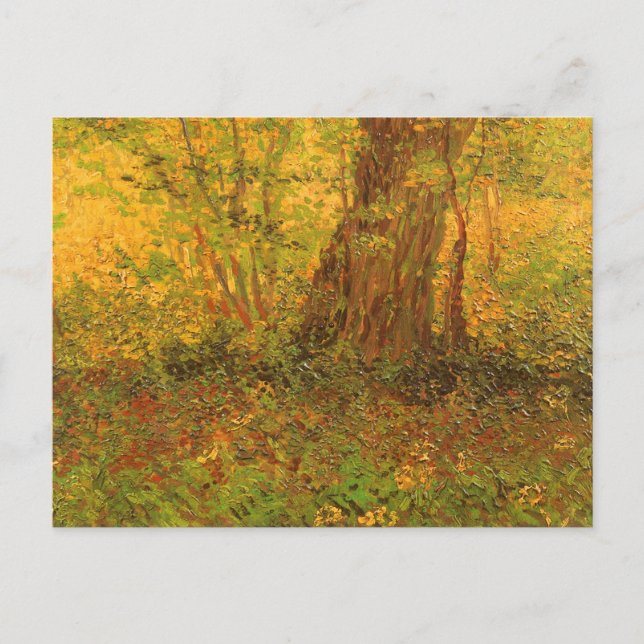 Vincent van Gogh - Undergrowth Postcard (Front)