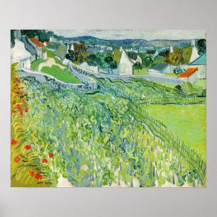 Vincent van Gogh - Vineyards at Auvers Poster