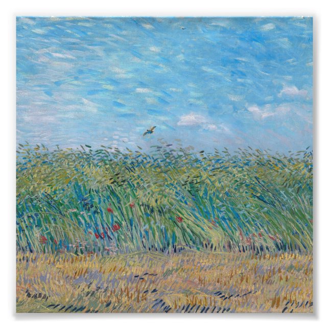Vincent Van Gogh - Wheat Field with a Lark Photo Print (Front)