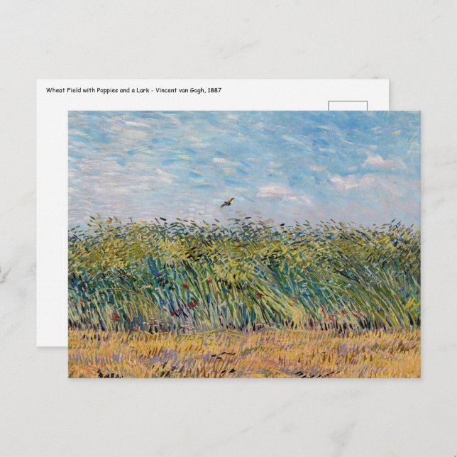 Vincent van Gogh - Wheat Field with a Lark Postcard (Front/Back)