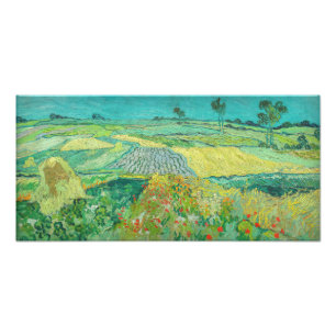 Vincent van Gogh - Wheat Fields near Auvers Photo Print