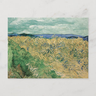 Vincent van Gogh - Wheatfield With Cornflowers Postcard