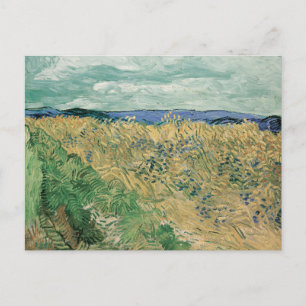 Vincent Van Gogh, Wheatfield With Cornflowers Postcard