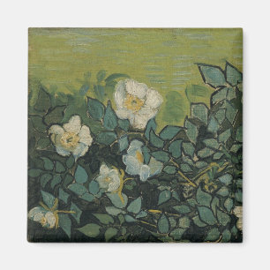 Vincent van Gogh - Wild Roses Magnet
