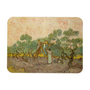 Vincent van Gogh - Women Picking Olives Magnet
