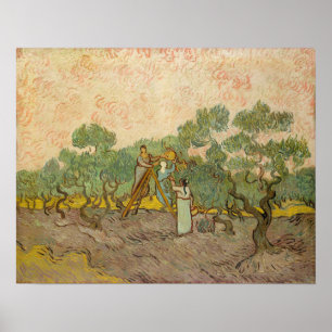 Vincent van Gogh - Women Picking Olives Poster