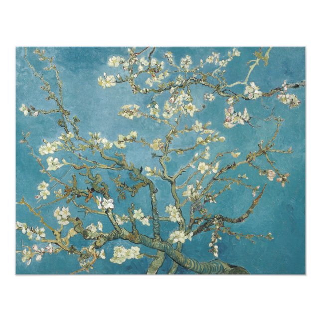 Vincent van Gogh's Almond blossom (1890) Photo Print (Front)