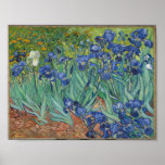 Vincent Van Gogh's Irises. Poster<br><div class="desc">"Irises" is one of a series of paintings,  which Vincent Van Gogh produced,  while in the asylum of Saint Paul-de-Mausole asylum,  in Saint-Rémy-de-Provence,  France,  in the last prior to his death in 1890.
 It is now housed in the J. Paul Getty Musuem,  Los Angeles,  United States.</div>