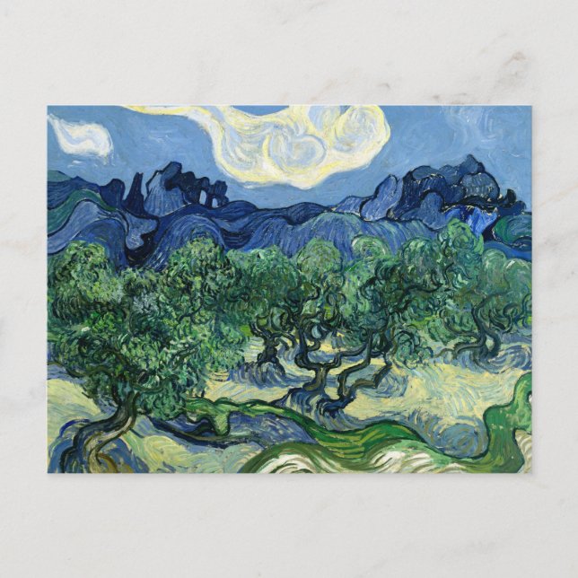 Vincent van Gogh's Olive Trees  Postcard (Front)