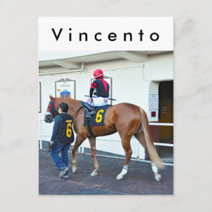 Vincento Postcard