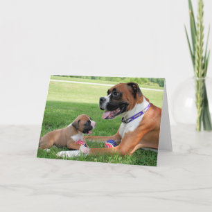 Vindy and Pups - Photo 95 Card