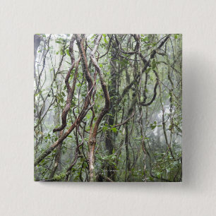 vine and branches twisted in rainforest 15 cm square badge
