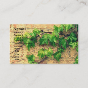 Vine and Brick Business Card