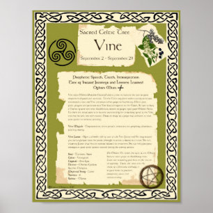 VINE CELTIC SACRED TREE POSTER