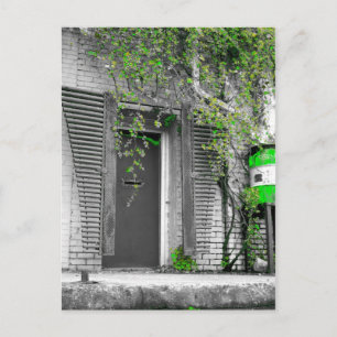 Vine Door Postcard