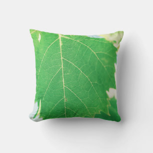 Vine Green Leaf Blue Sky Focus Cushion Pillow