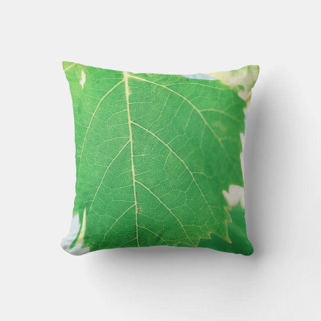 Vine Green Leaf Blue Sky Focus Cushion Pillow (Front)