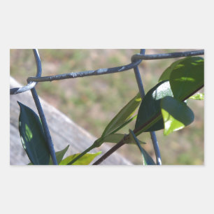 vine on a chain link fence life finds a way rectangular sticker