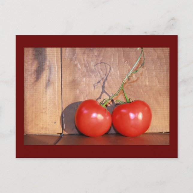 Vine Ripened Postcard (Front)