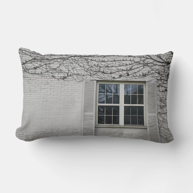 Vine Surrounding Window Lumbar Cushion (Front)