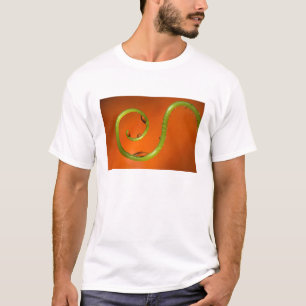 Vine tendral with water, California T-Shirt