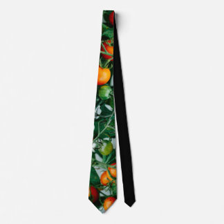 Vine tomato tie