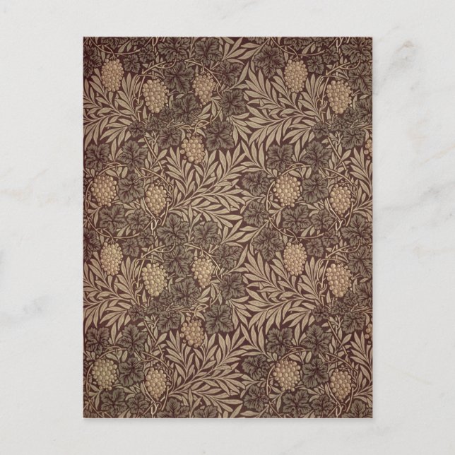 'Vine' wallpaper design, 1873 Postcard (Front)
