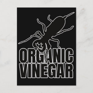 Vinegaroons Vinegaroon Whip Scorpion – Entomology Postcard