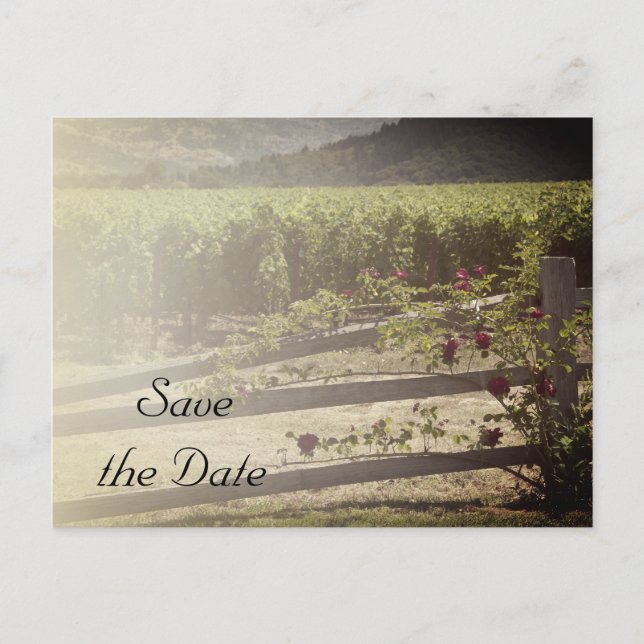 Vineyard and Rose Fence Wedding Save the Date Announcement Postcard (Front)