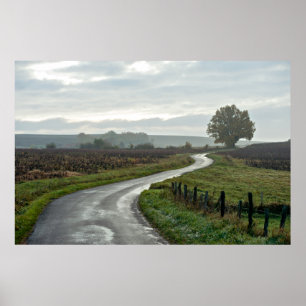 Vineyard at Lantignié of Rhône Department Poster