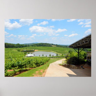 Vineyard at North Georgia Wine Country Poster
