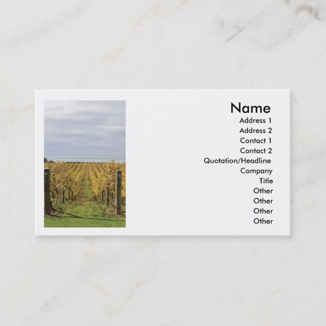 Vineyard Business Card (Front)