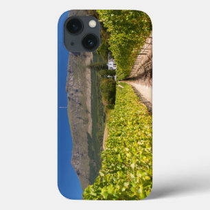 Vineyard, Cape Town, Western Cape, South Africa 2 iPhone 13 Case