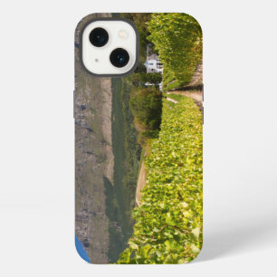 Vineyard, Cape Town, Western Cape, South Africa 2 iPhone Case