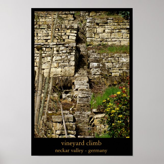 vineyard climb poster (Front)