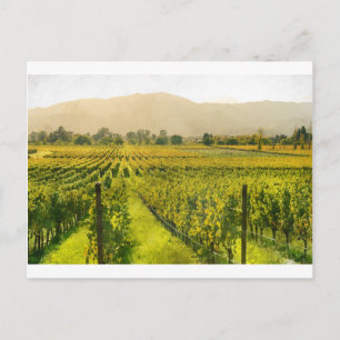 Vineyard in Autumn in Napa Valley California Postcard