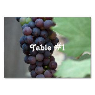 Vineyard in Italy Table Number