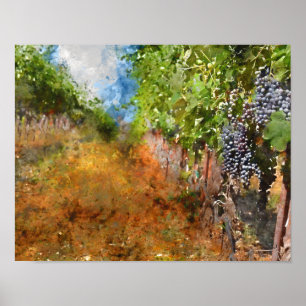 Vineyard in Napa Valley California Poster