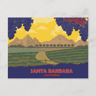Vineyard in Santa Barbara, California Postcard