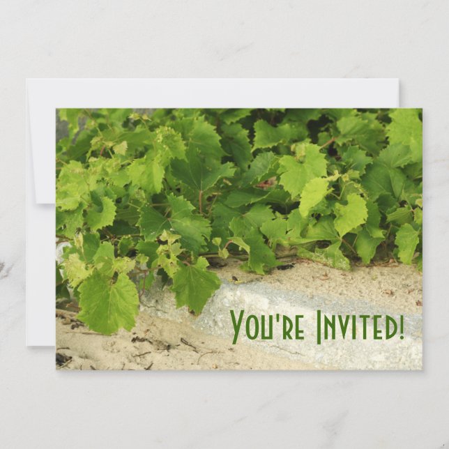 Vineyard Invitation (Front)