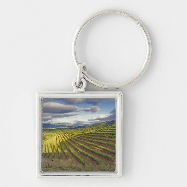 Vineyard. Napa Valley. Napa. Napa County, Key Ring (Front)