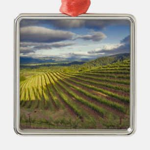 Vineyard. Napa Valley. Napa. Napa County, Metal Ornament