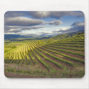 Vineyard. Napa Valley. Napa. Napa County, Mouse Pad