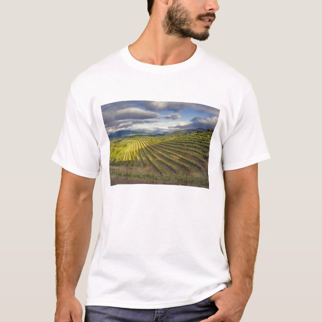 Vineyard. Napa Valley. Napa. Napa County, T-Shirt (Front)