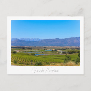 Vineyard Nature View South Africa SA Postcard
