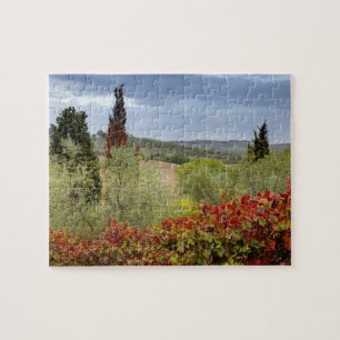 Vineyard near Montalcino, Tuscany, Italy Jigsaw Puzzle