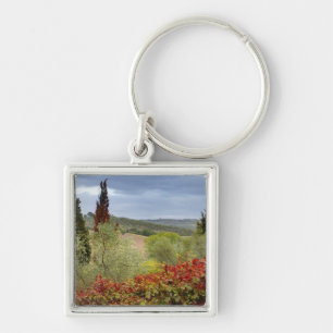 Vineyard near Montalcino, Tuscany, Italy Key Ring
